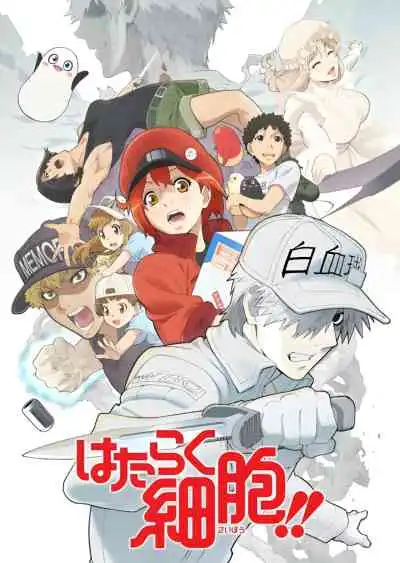 Hataraku Saibou เซลล์ขยัน พันธุ์เดือด ภาค 2