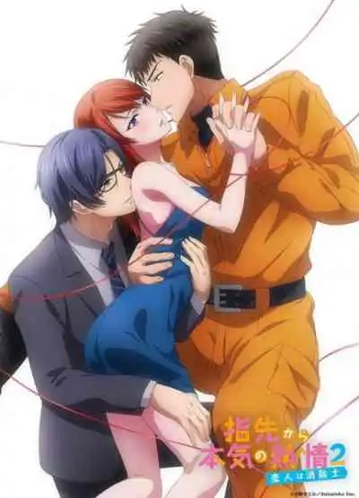 Yubisaki kara Honki no Netsujou 2